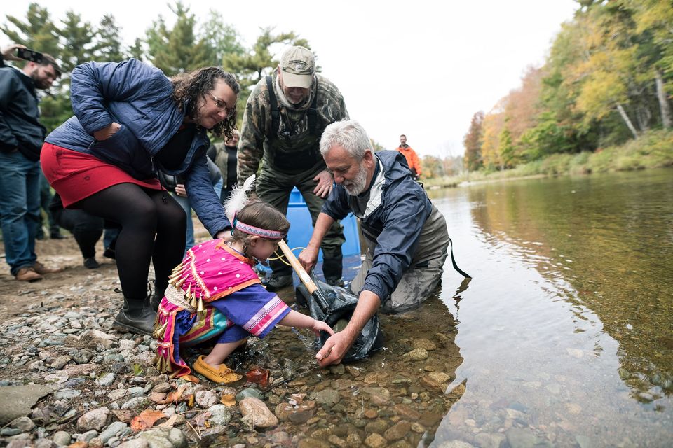 Man and bystanders teach child about salmon